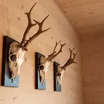 Holzlodge Nähe Obertauern Radstadt