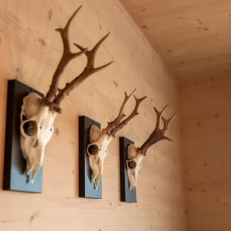 Holzlodge Deluxe - Alpine - Bergblick Radstadt