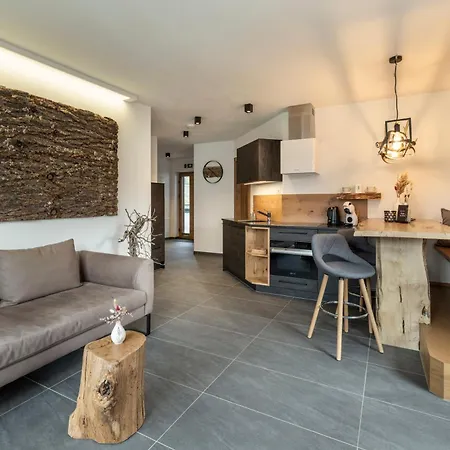 Holzlodge Deluxe - Alpine - Bergblick Apartment Radstadt