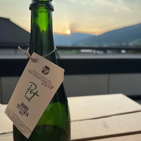 Holzlodge Deluxe - Alpine - Bergblick * Radstadt