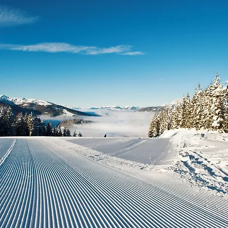 Holzlodge Deluxe - Alpine - Bergblick Apartment Radstadt
