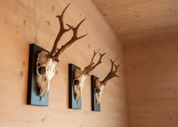 Holzlodge Naehe Obertauern Radstadt